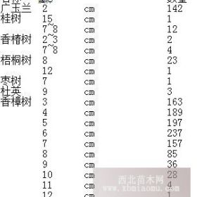 香樟树 广玉兰 紫薇等