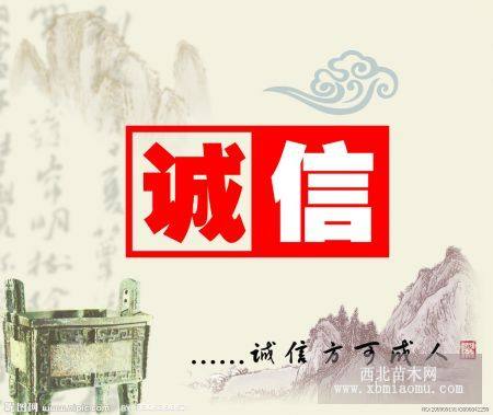 红叶石楠、南天竹