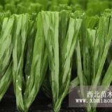 供應(yīng)廣州綠城人造草，50mm足球場草產(chǎn)品