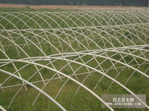 溫室大棚骨架 蔬菜大棚 大棚配件