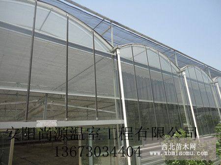 花卉蔬菜大棚建设花卉温室建造