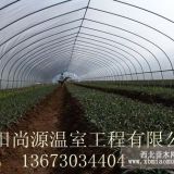 西安無(wú)支柱育苗大棚 榆林蔬菜大棚建設(shè) 太原花卉大棚骨架