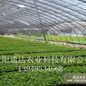 陜西育苗大棚骨架蔬菜大棚骨架建設