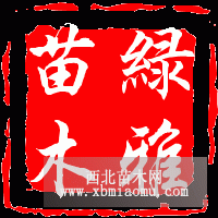 綠雅大量供應(yīng)龍柏規(guī)格齊全價(jià)格優(yōu)惠