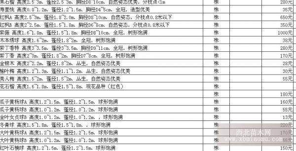 紫薇3-4國(guó)槐5公分各2000棵