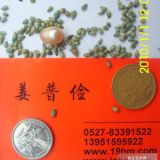 多年生高桿高產(chǎn)雜交狼尾草種子價格優(yōu)惠籽粒莧菊苣種子包郵全國