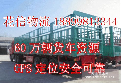 接全國花木運輸GPS定位安全可靠