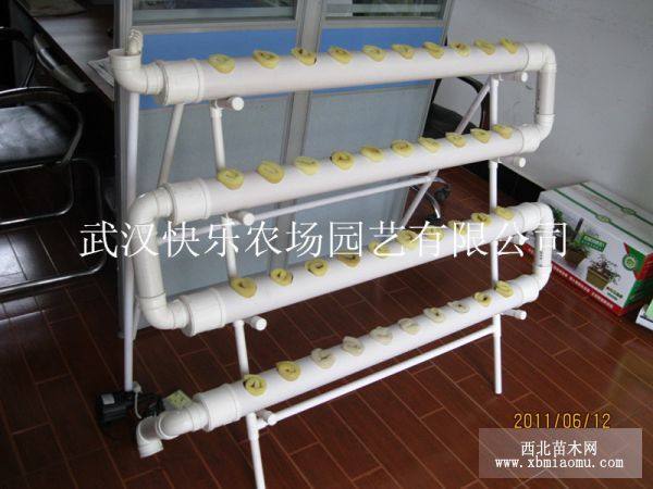 單面管道水培機