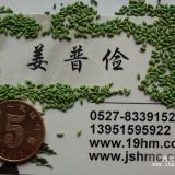 哪里有賣三葉草百喜草狗皮草種子價格紫穗槐狗牙草護坡固土效果好