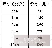 大量供應(yīng)3-15公分八月桂