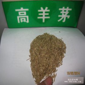 批發(fā)各種草坪草種種子 高羊茅草籽