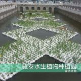 人工浮岛 生物岛栅 浮岛价格