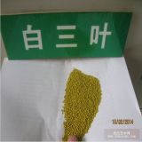 暖季型觀賞草坪種子牧草白三葉草籽