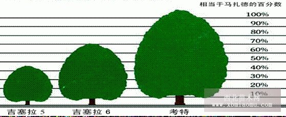 吉塞拉樱桃苗