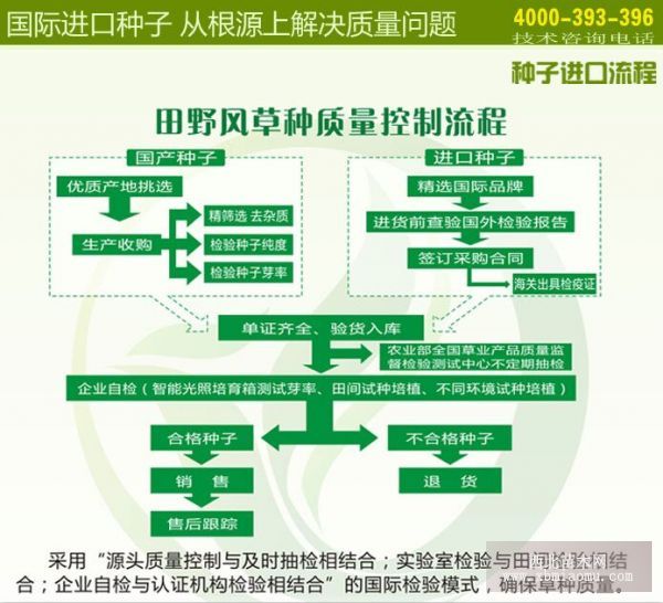 田野风草种进口流程