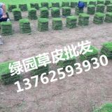 六盤水馬尼拉草皮價格、草皮供應信