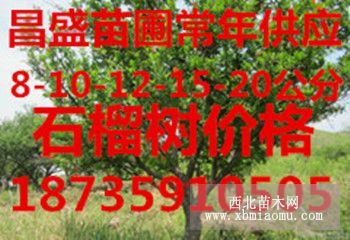 供应5-8-10-12公分石榴树基地批发价格