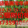 供應(yīng)5-8-10-12公分石榴樹基地批發(fā)價格