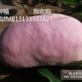 八月瓜哪里有什么好處