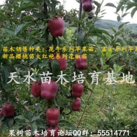 花牛蘋果那個(gè)品種好