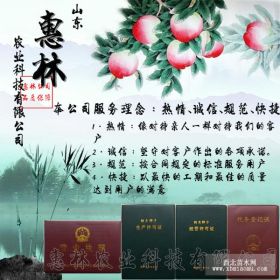 中秋红蜜桃树苗（红帝王一号）