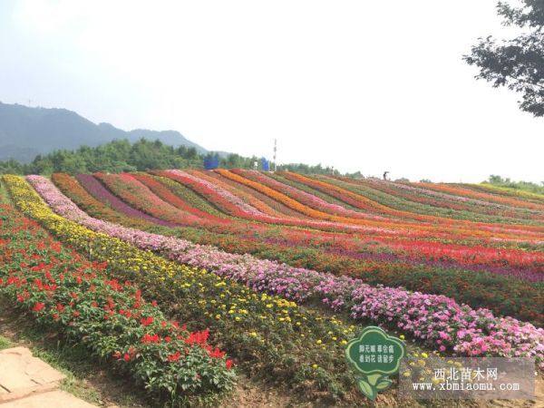 景区规划建设