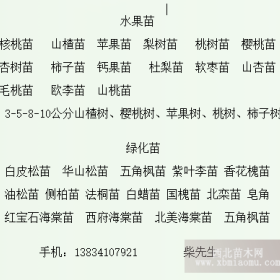 3公分山楂树 定植3公分山楂树 5公分山楂树 各种规格山楂树