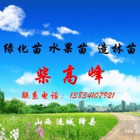 北美海棠树-山西3-5公分北美海棠-3公分北美海棠树