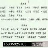 榆葉梅苗榆葉梅批發(fā)榆葉梅