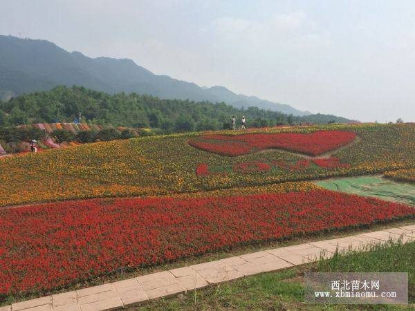 生態(tài)公園