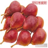 早紅考密斯梨樹(shù)苗品種大全