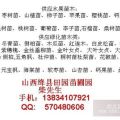 10公分櫻桃樹-12公分櫻桃樹-8公分櫻桃樹-各種規(guī)格櫻桃樹