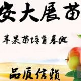 直售新紅星（短枝）蘋(píng)果苗