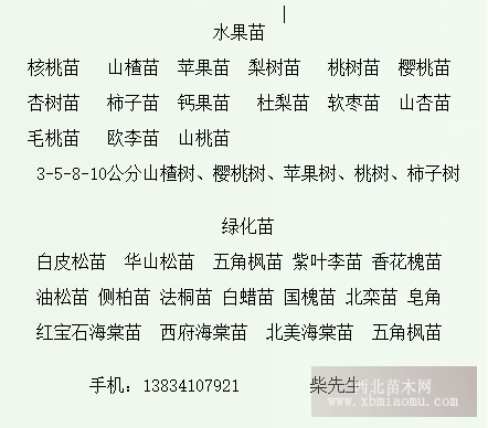 玉露香梨苗