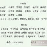 30公分連翹苗50公分連翹苗1年連翹苗藥用連翹苗