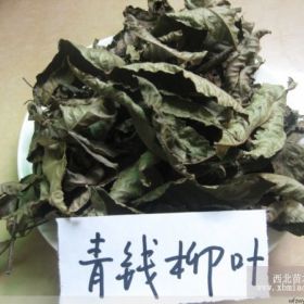 青钱柳干叶 青钱柳干叶价格 青钱柳老叶茶 青钱柳叶