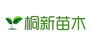 桐柏縣新集桐新苗木