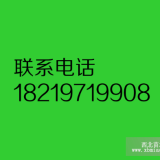 甘肅樟子松-1米1.5米2米2.5米3米樹苗