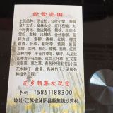 地方红叶小檗30-35-40-45-50公分高红叶小檗价格报