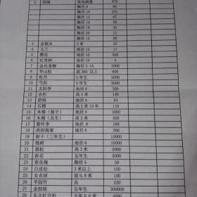 长期供应金丝垂柳、桃树、女贞等