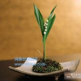 北京花卉銷(xiāo)售綠植租擺