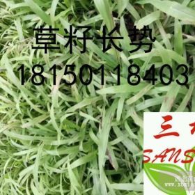 云南植生袋公路鐵路邊坡綠化生態(tài)袋CF網(wǎng)無紡布