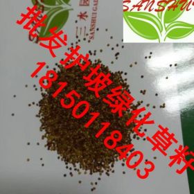 云南安楚晋江龙岩高速公路岩石边坡，生态恢复植物有哪些狗牙根