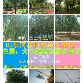 河南濮阳13公分白蜡价格品牌