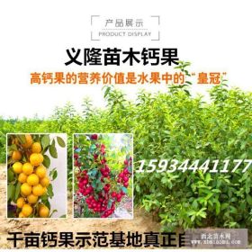 钙果苗什么品种好 钙果苗7号8号9号好