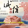 出售15公分櫻桃樹價(jià)格+15公分占地櫻桃樹基地價(jià)格