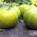 貴州李子苗，貴州李子樹(shù)苗，貴州李樹(shù)苗多少錢一株？