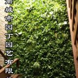 城市园丁郑州客厅绿植墙制作-河南城市园丁园艺有限公司