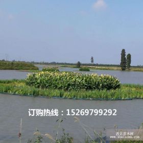 水生植物浮床 生态浮床批发 生态浮床价格