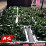 艳丽草莓苗种植方法 价格方面 艳丽草莓苗市场价格趋势